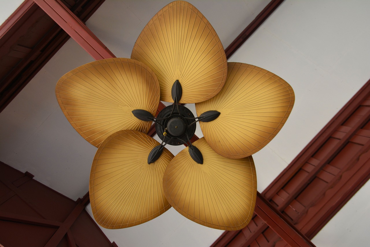 fan, ceiling fan installation